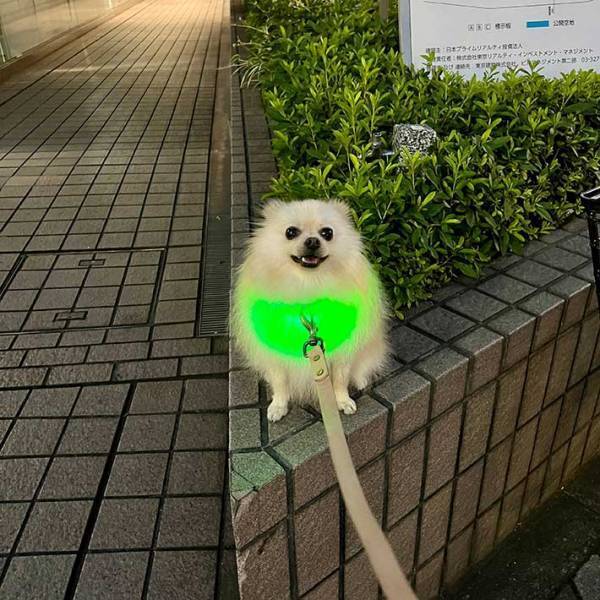 『メロンクリームソーダの妖精』現る　「おいしそう」「味がよみがえった」