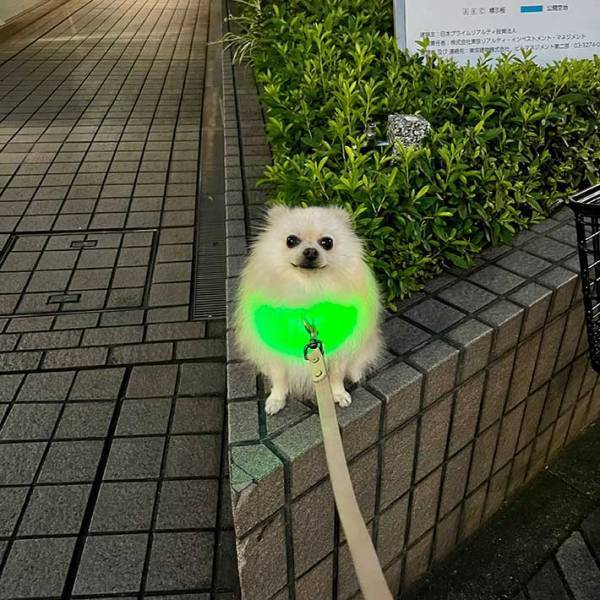 『メロンクリームソーダの妖精』現る　「おいしそう」「味がよみがえった」