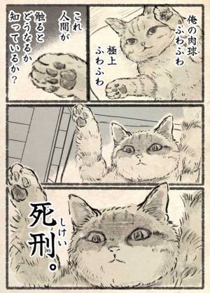 肉球を触りたい…　しかし、猫が思っていることは？