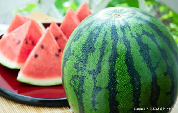 「パックの底を見て！」　JAが教える『甘いカットスイカ』を選ぶコツ