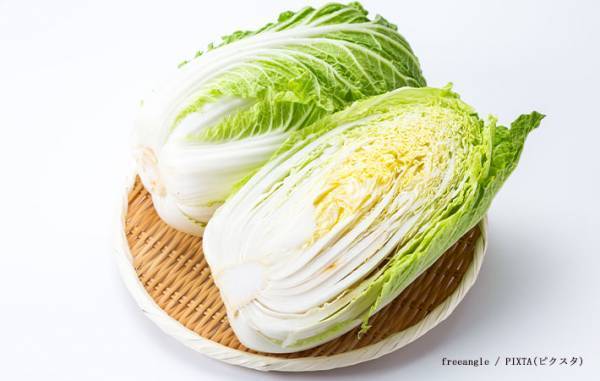 買った白菜は冷蔵？常温？　農家のアドバイスに「そうだったのか！」