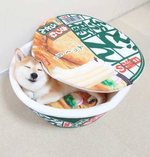 『どん兵衛』の中に、いたものとは…　「マジでびっくり」「どういうこと？！」