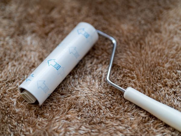 「正しい剥がし方は…」　コロコロ開発企業に聞いたら結論が出た！