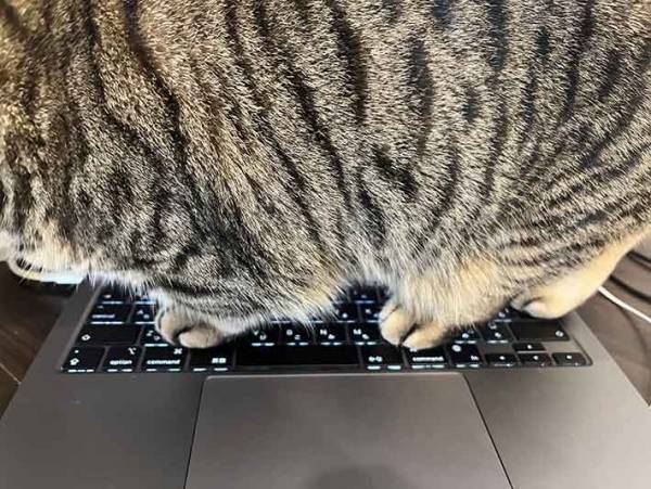 「笑うしかない」　こんな会議の状況に「究極のハラスメント！」