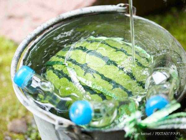 １玉は食べきれない…　JAの回答に「その手があったか！」