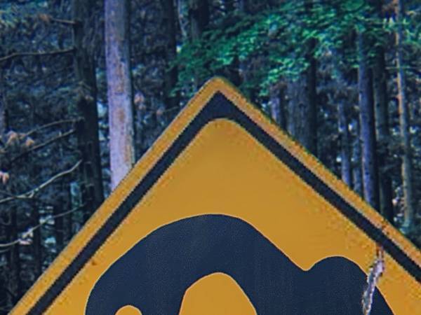 『○○県の標識』にゾッ　よく見ると…「怖すぎる」「一体何があるんだ」