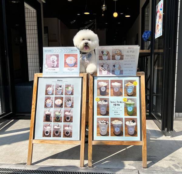 不定期休みで働く、ホテルの『店長』　人気の秘訣は…？