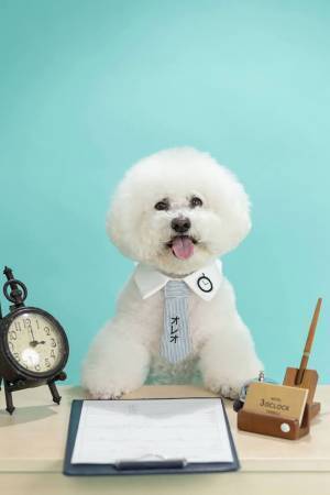 不定期休みで働く、ホテルの『店長』　人気の秘訣は…？