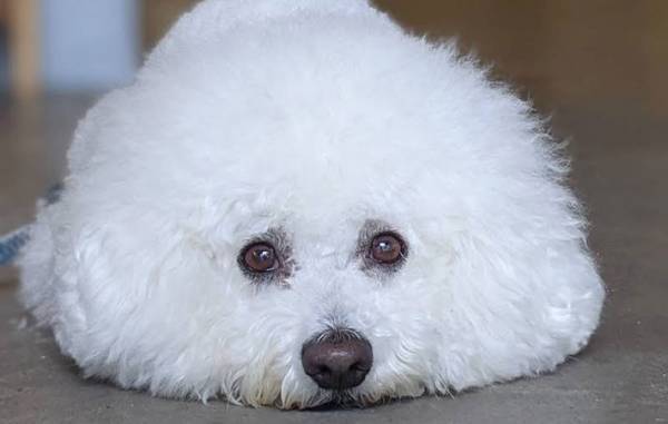 不定期休みで働く、ホテルの『店長』　人気の秘訣は…？