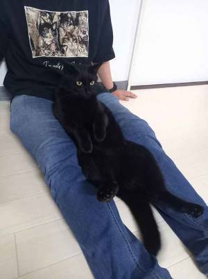 「最高かよ」　帰宅直後の１枚が話題！