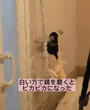 野菜の皮できれいになるアレ　おばあちゃんの知恵に「さすが」