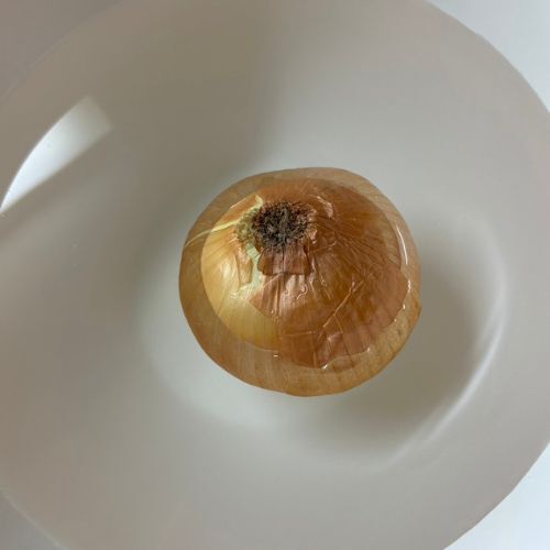 タマネギをアレに浸したら…　効果に「料理が楽になる」