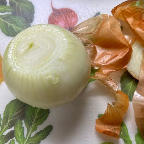 タマネギをアレに浸したら…　効果に「料理が楽になる」