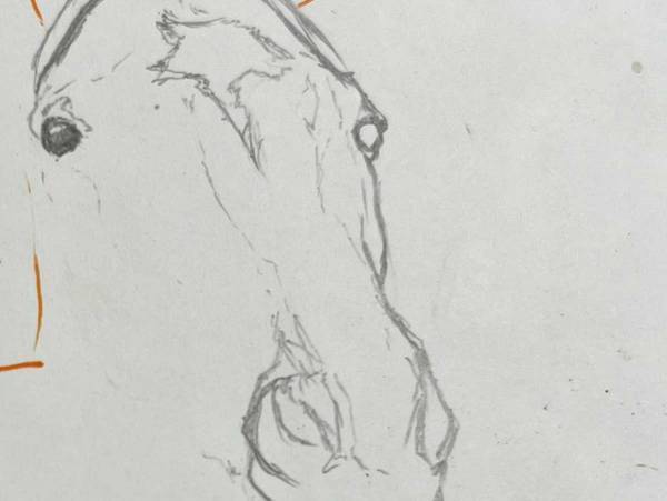 学生が描いた馬の絵　「めっちゃリアル」と思いきや…「爆笑」「じわじわとくる」