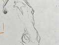 学生が描いた馬の絵　「めっちゃリアル」と思いきや…「爆笑」「じわじわとくる」