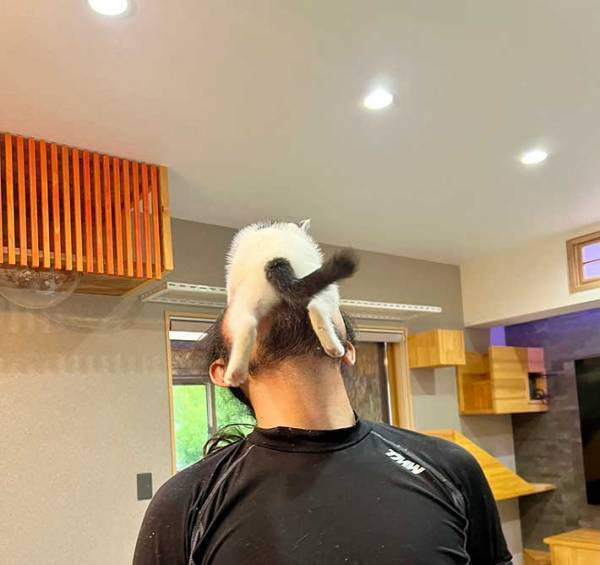 全力すぎる愛情表現に「笑った」「愛が強い」　飼い主が帰宅すると？