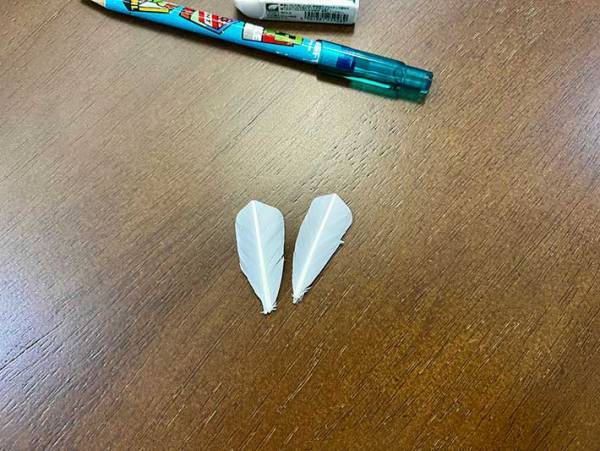 「ママにあげる」　１０歳息子が拾った『ある物』が…　「国宝級！」