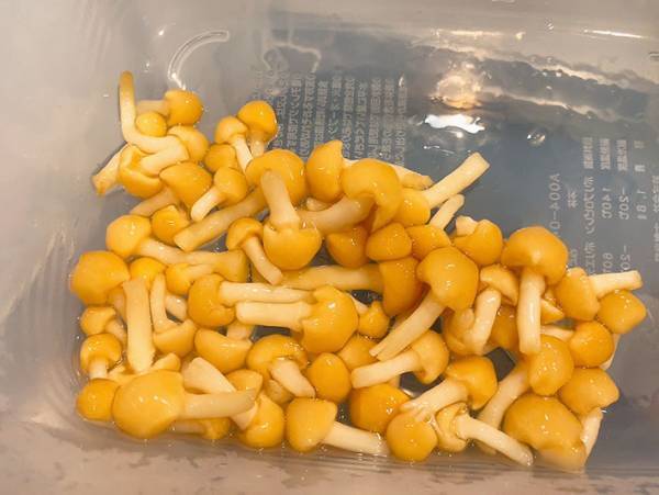 暑い時期にはコレ！　企業が教える『なめこおろしそば』に「箸が止まらん」