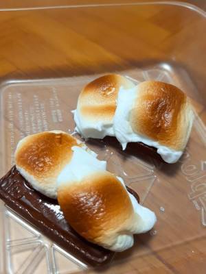 焼いたマシュマロは凍らせて！　完成形に「間違いない味」