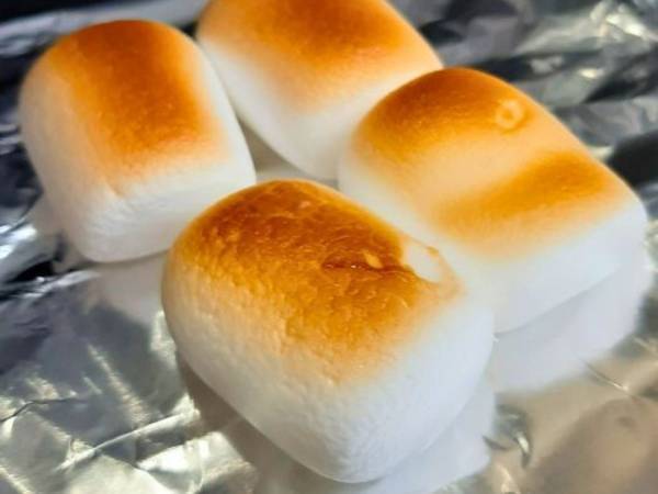 焼いたマシュマロは凍らせて！　完成形に「間違いない味」