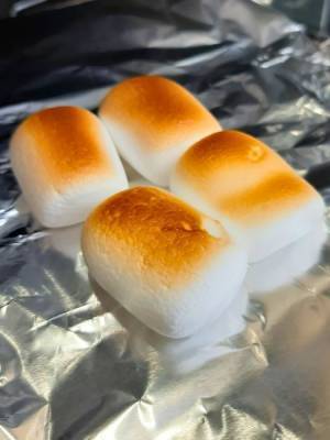 焼いたマシュマロは凍らせて！　完成形に「間違いない味」