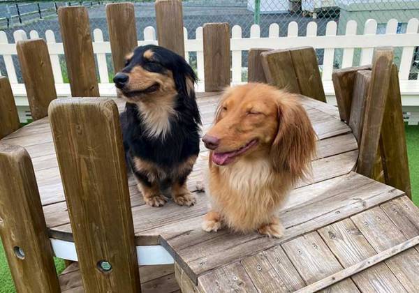 「なんでそうなった？！」　写真に『１０万いいね！』　「奇跡ですね」