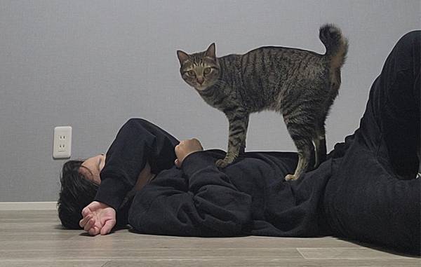 床で倒れていた飼い主、愛猫が近づくと？　「強者の顔」「奪われそう」