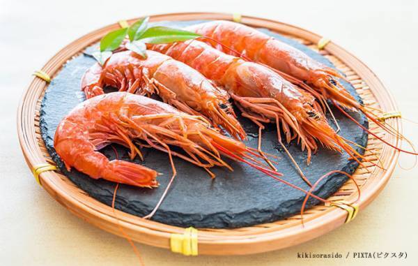 エビの頭と尻尾、捨てた方がいい？　日本海老協会の回答に「早く知りたかった」