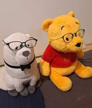 ２つ並ぶぬいぐるみを見た夫「天才なのかもしれない」　妻があることをしていて…？