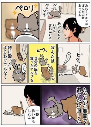 鴻池剛（@TsuyoshiWood）さんの猫漫画