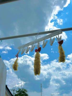 ベランダで干しているのが？　その光景に「笑った」「お腹空くやつ」