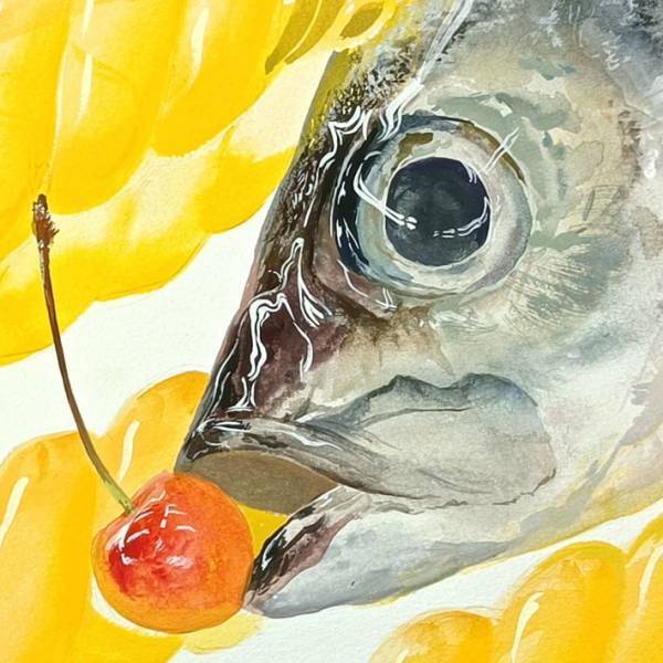 浪人生が描いた『アジの絵』、ビフォーアフターに「努力の賜物ですね」「感動した」