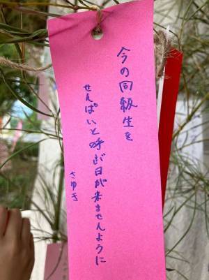 「同級生を…」　短冊の『願い』にエール相次ぐ