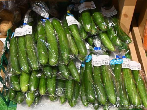 「キャンプに持参します」「夏に最高」　キュウリを１本丸ごと使って？