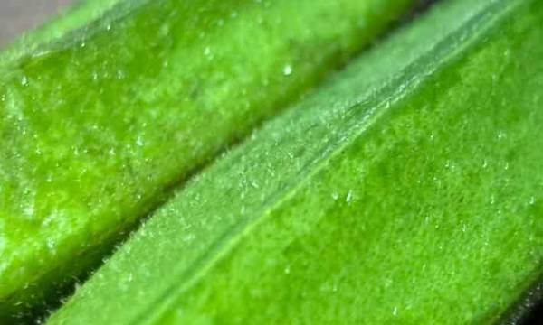 板ずりが面倒な男性　妻の提案に「目からウロコ」