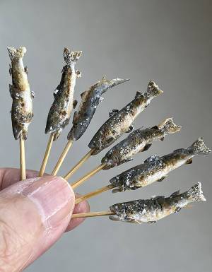 おいしそうなアユの塩焼き、実は？　「すっ転げた」「ウソだろ？」