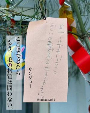 七夕の短冊に「咳き込むほど笑った」　クセ強な願いに、ツッコミ不可避