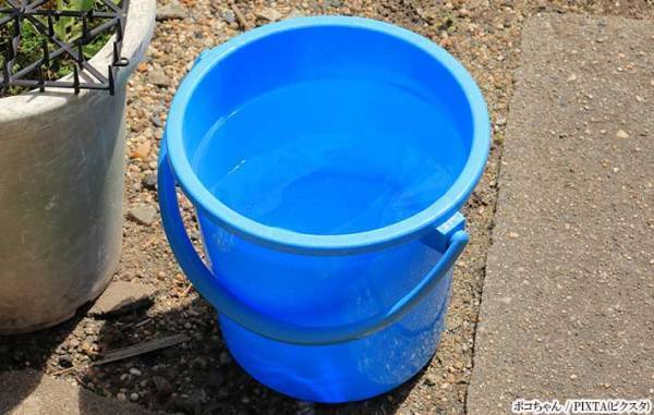 『アレ』はすぐに処分して！　害虫対策に「やってなかった」