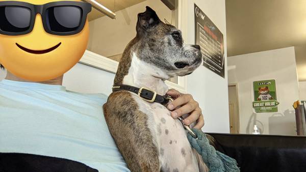 スマホに届いた『浮気の現場写真』　写った光景に「これは許されない」「取り調べコースだな」