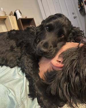 スマホに届いた『浮気の現場写真』　写った光景に「これは許されない」「取り調べコースだな」