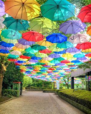 『アンブレラスカイ』の写真に「初めて見た」「歩きたい！」の声