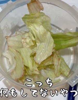 カットレタス、水で洗ってる？　意外な洗い方に「試さずにはいられない」