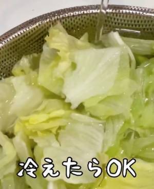 カットレタス、水で洗ってる？　意外な洗い方に「試さずにはいられない」