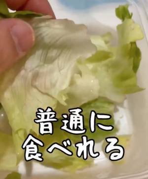 カットレタス、水で洗ってる？　意外な洗い方に「試さずにはいられない」