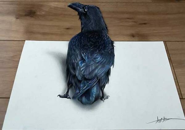 注目を集めたカラス　まさかの事実に「天才か」「多分飛ぶぞ」