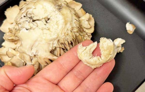 そこ、切り落とさないで！　雪国まいたけの情報に「ビックリ」