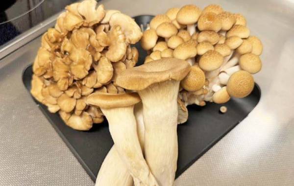 そこ、切り落とさないで！　雪国まいたけの情報に「ビックリ」