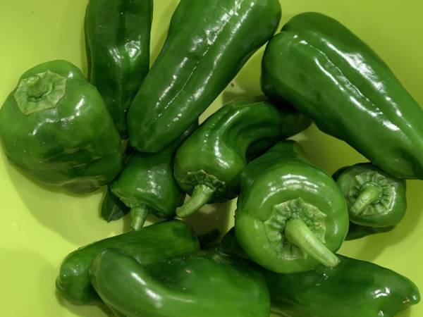 ピーマンをこう保存すると…　メリットに「すぐやる」「知ってよかった」