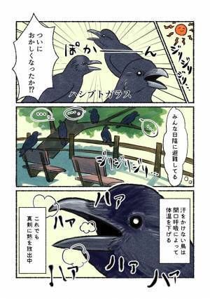 「自分もこの前見ました」　ある行動をとる、カラスの目撃情報が続出！