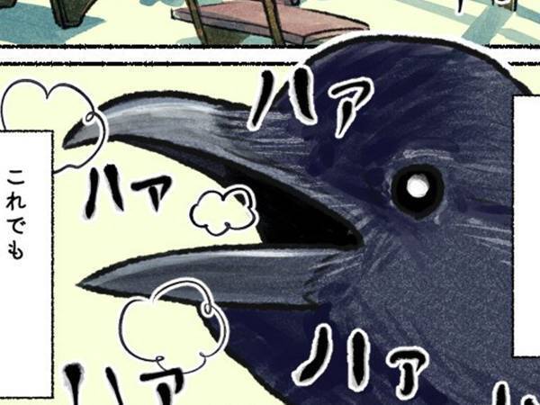「自分もこの前見ました」　ある行動をとる、カラスの目撃情報が続出！